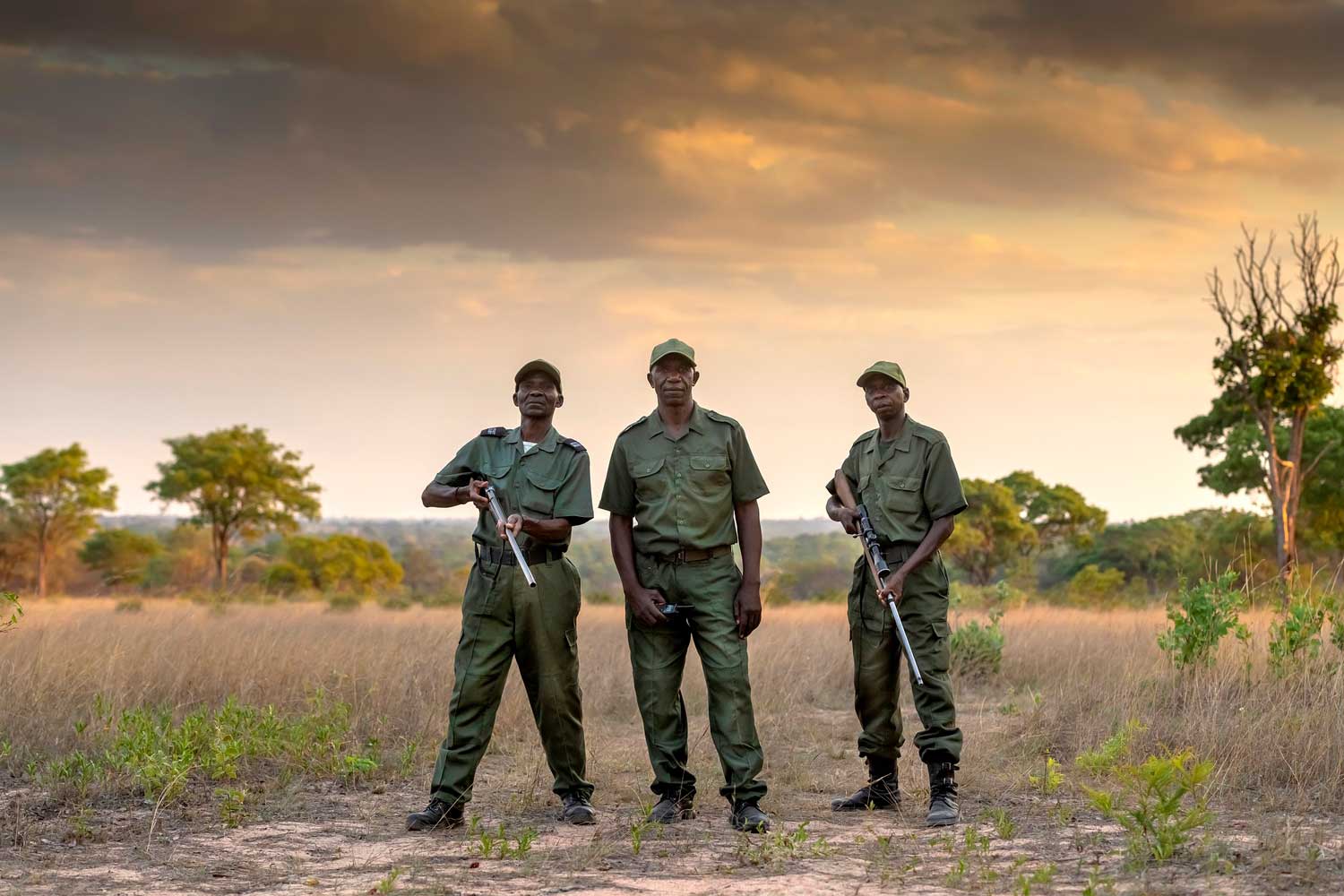 How AI is Helping Catch Wildlife Animal Poachers